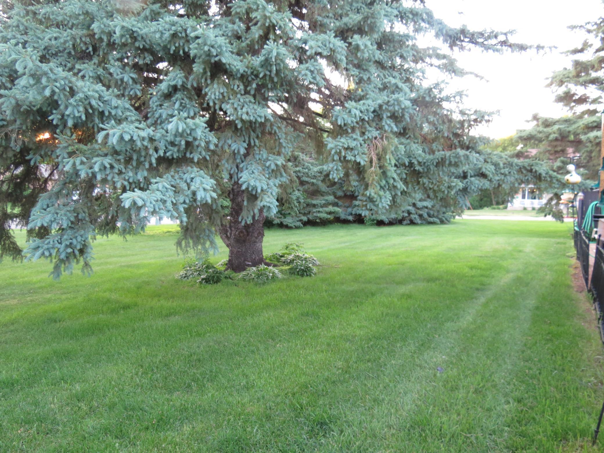 View to Right of your patio