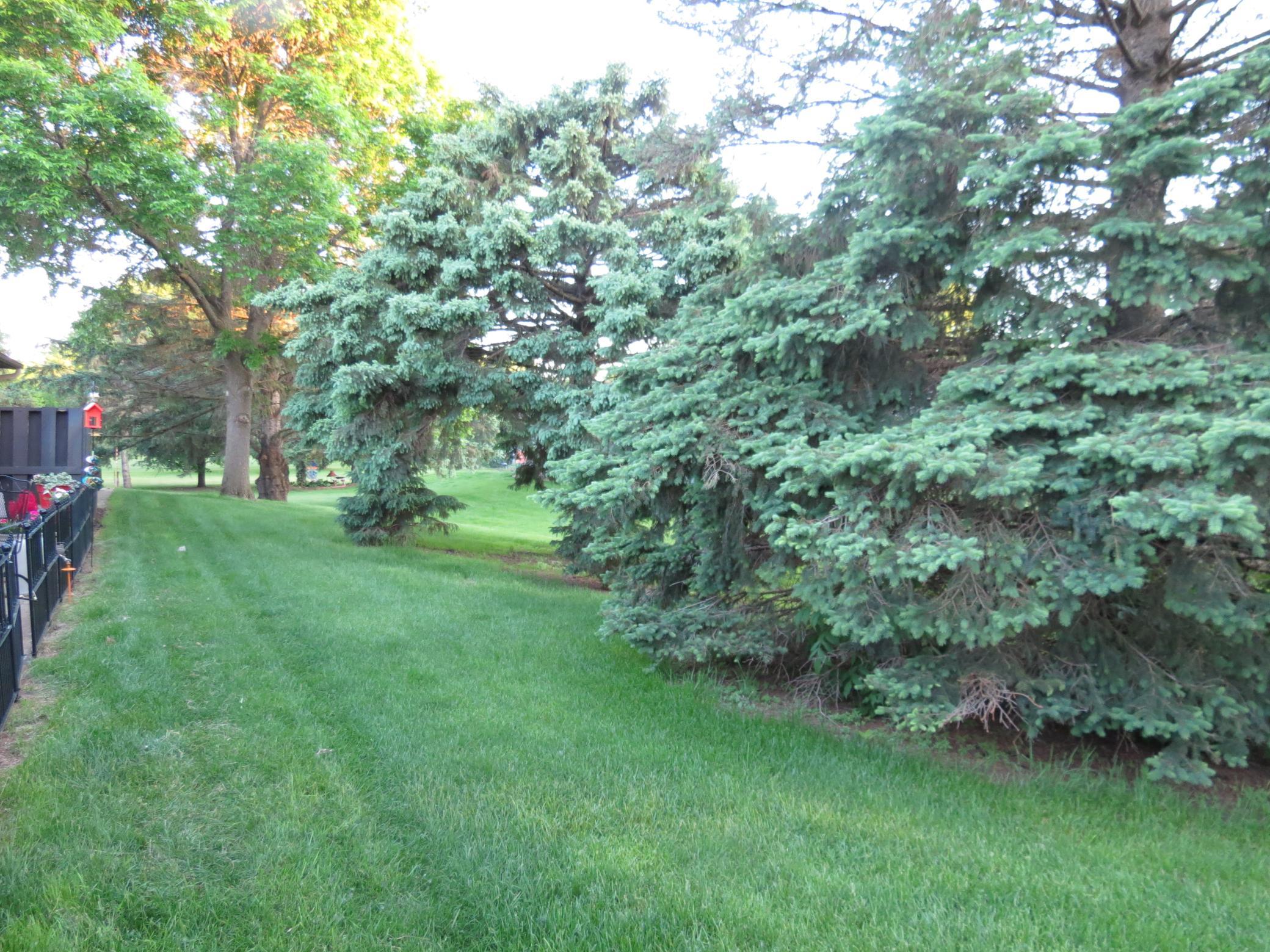 Patio view to South