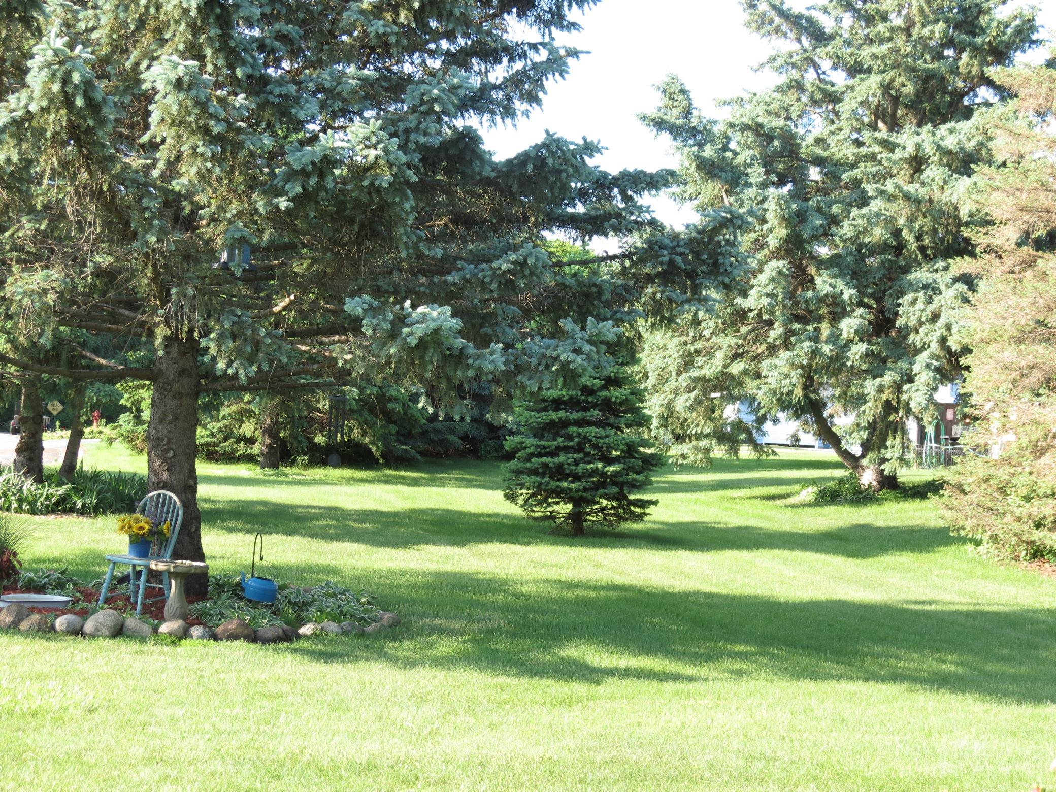 Landscaped Common Area