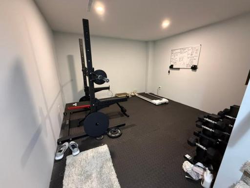 Lower Level Flex Space