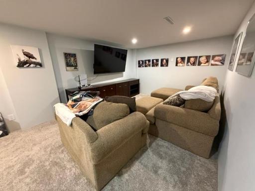 Lower Level Family Room