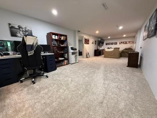 Lower Level Family Room