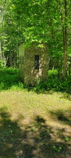 deerstand1.jpg