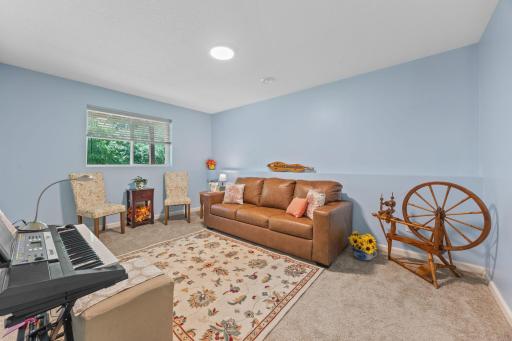 1042 White Tail Lane, Montrose, MN 55363