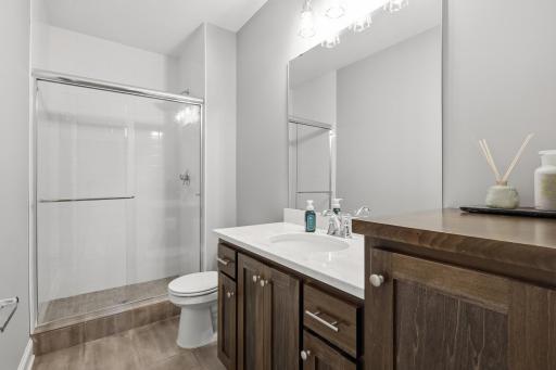 lower level bathroom