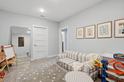 lower level room