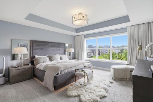 Large window and tray ceiling elevate this primary suite.