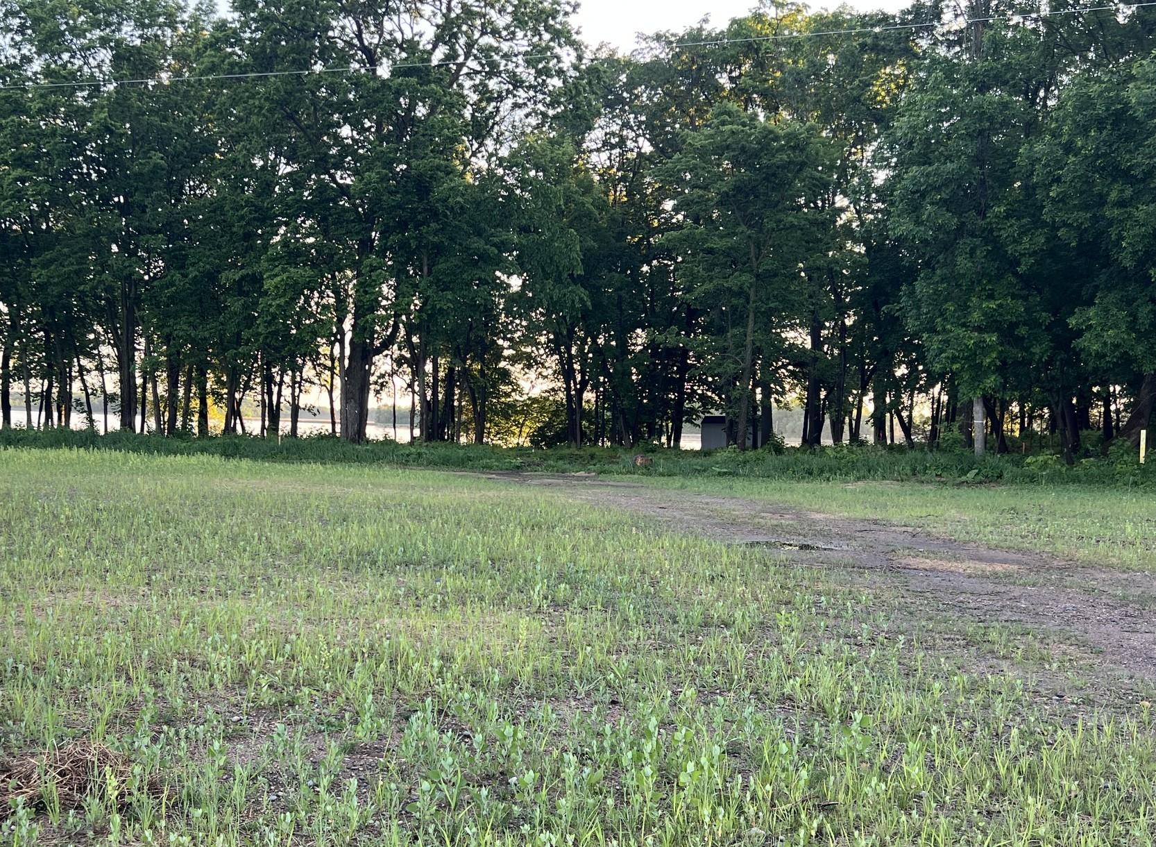 Beautiful level wooded property allows for a variety of building options.