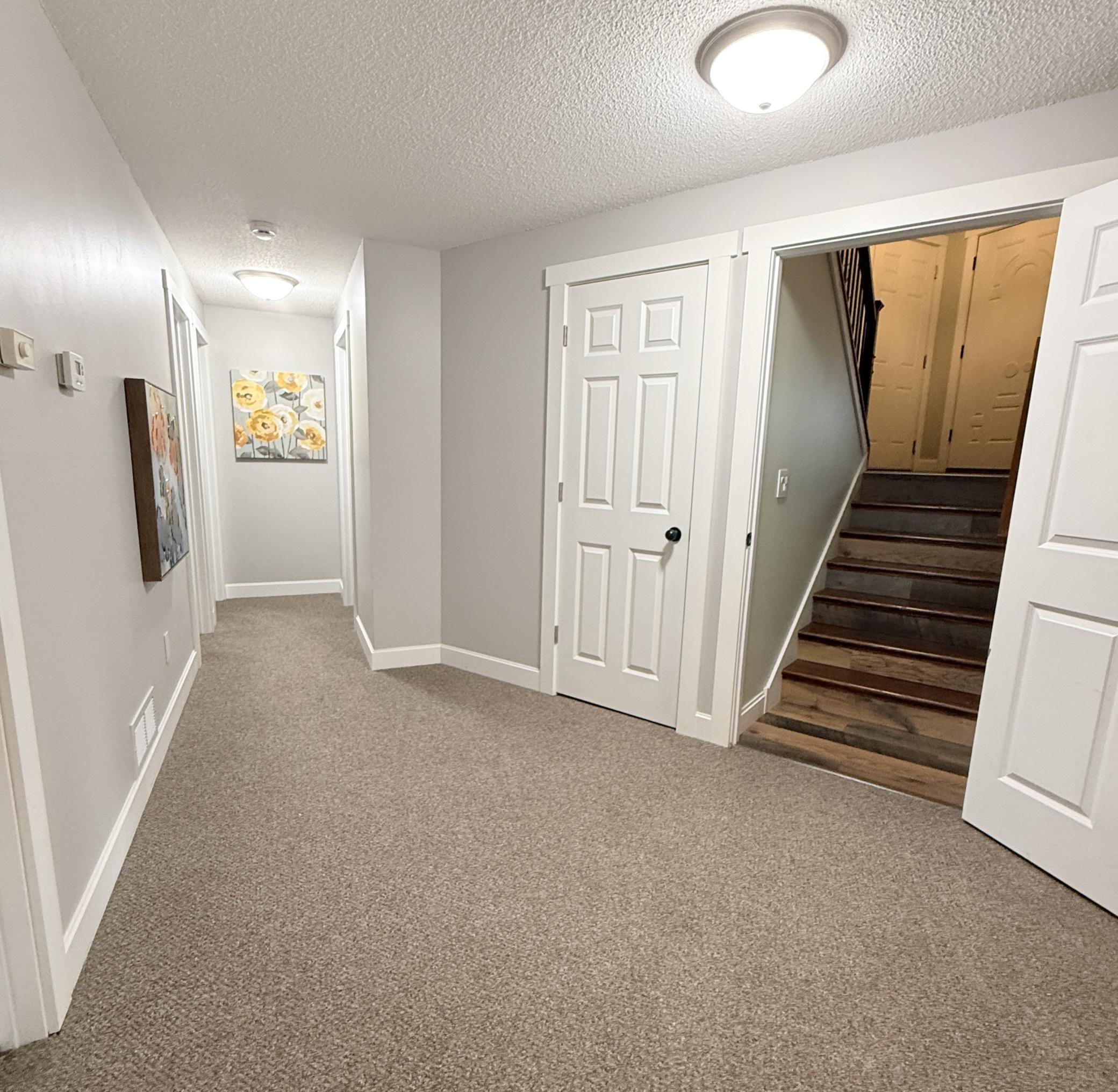 Lower-level hallway with large understairs storage area.