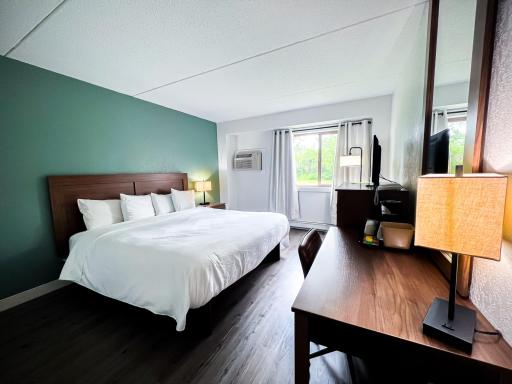 Baudette-MN-Hotel-Walleye-Inn-2024-Single-King-Bed-Handicap-Accessible-Hotel-Room-2934-2200px.jpg