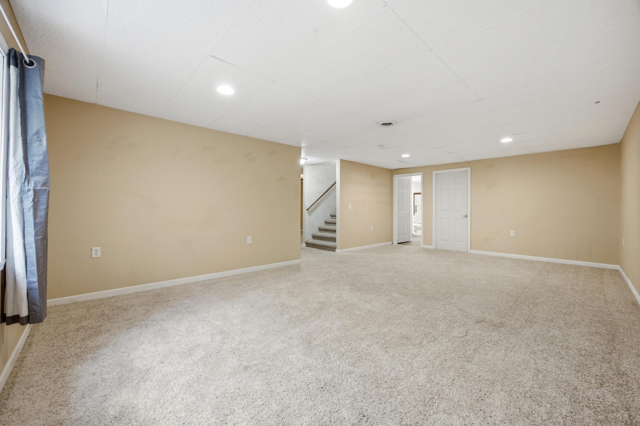 Basement Family Room