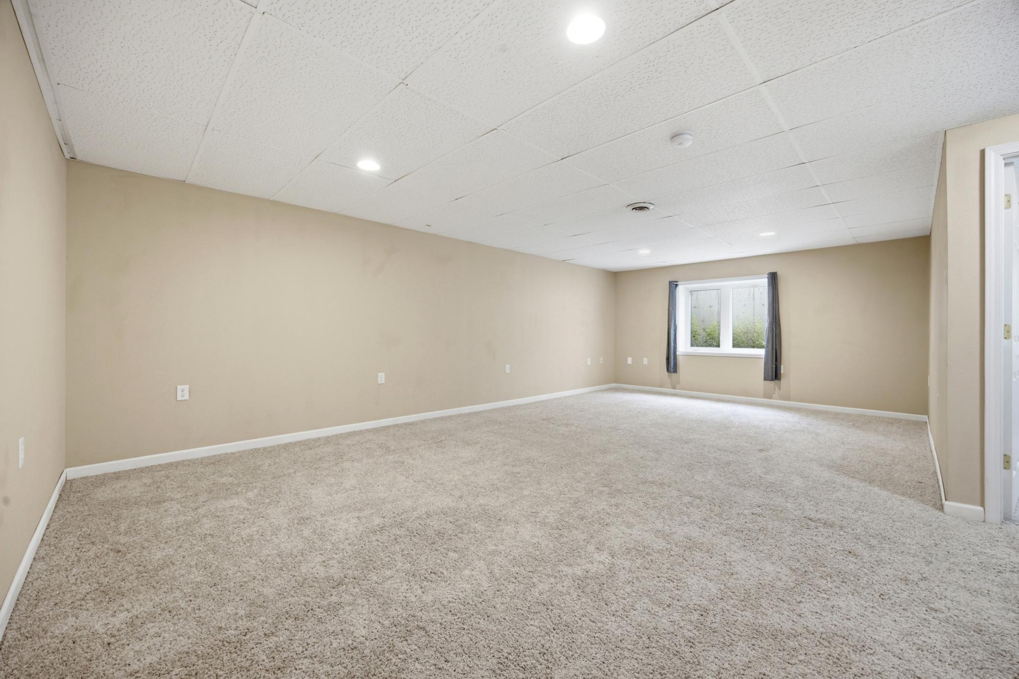 Basement Family Room