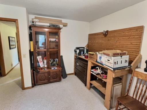 Third bedroom located on lower level.