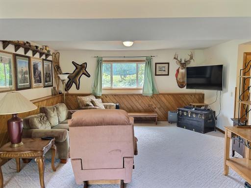 Large family room on lower provides a great place to gather with the family.