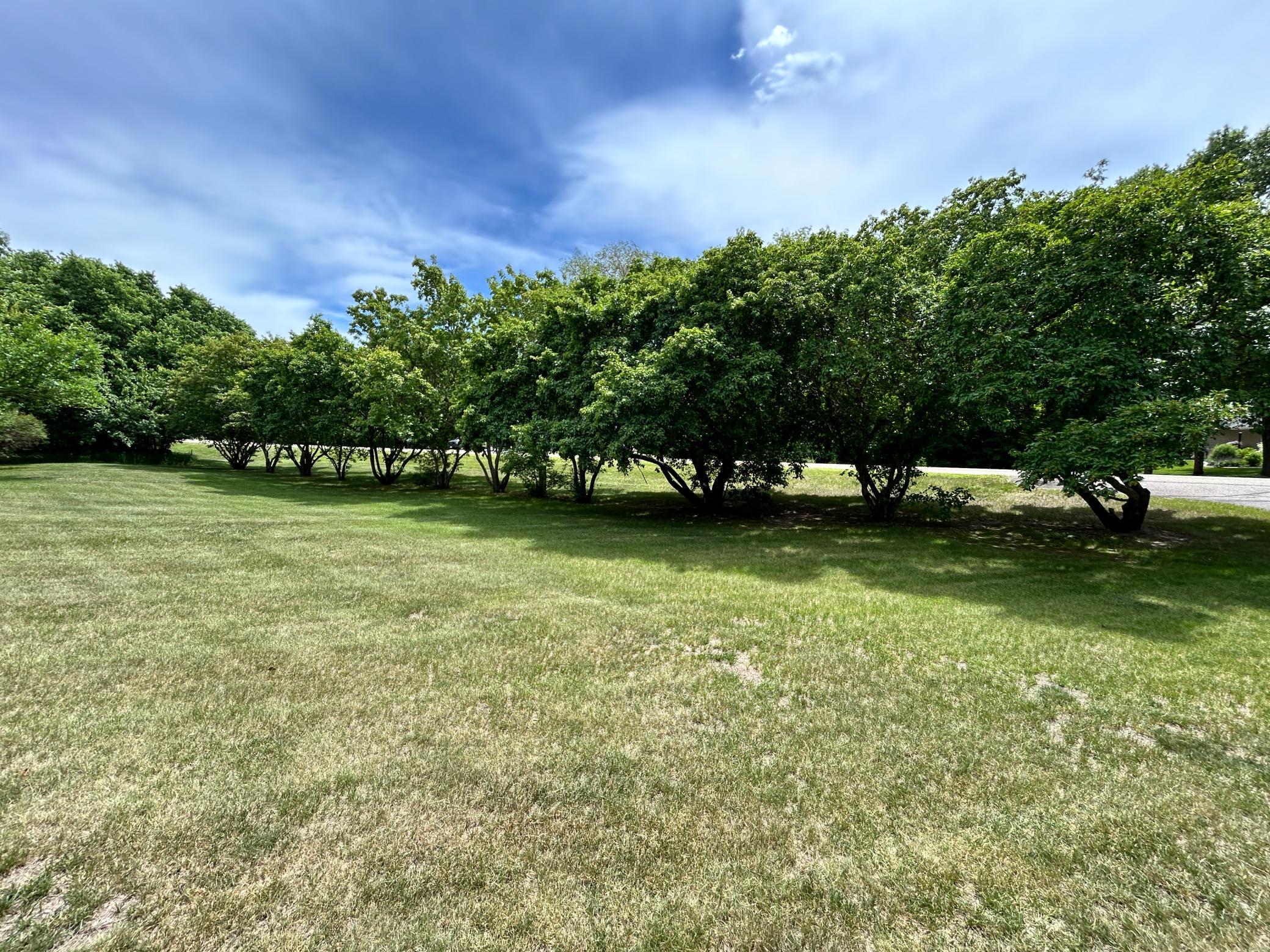 The row of trees in the front yard provides privacy from the street in front.