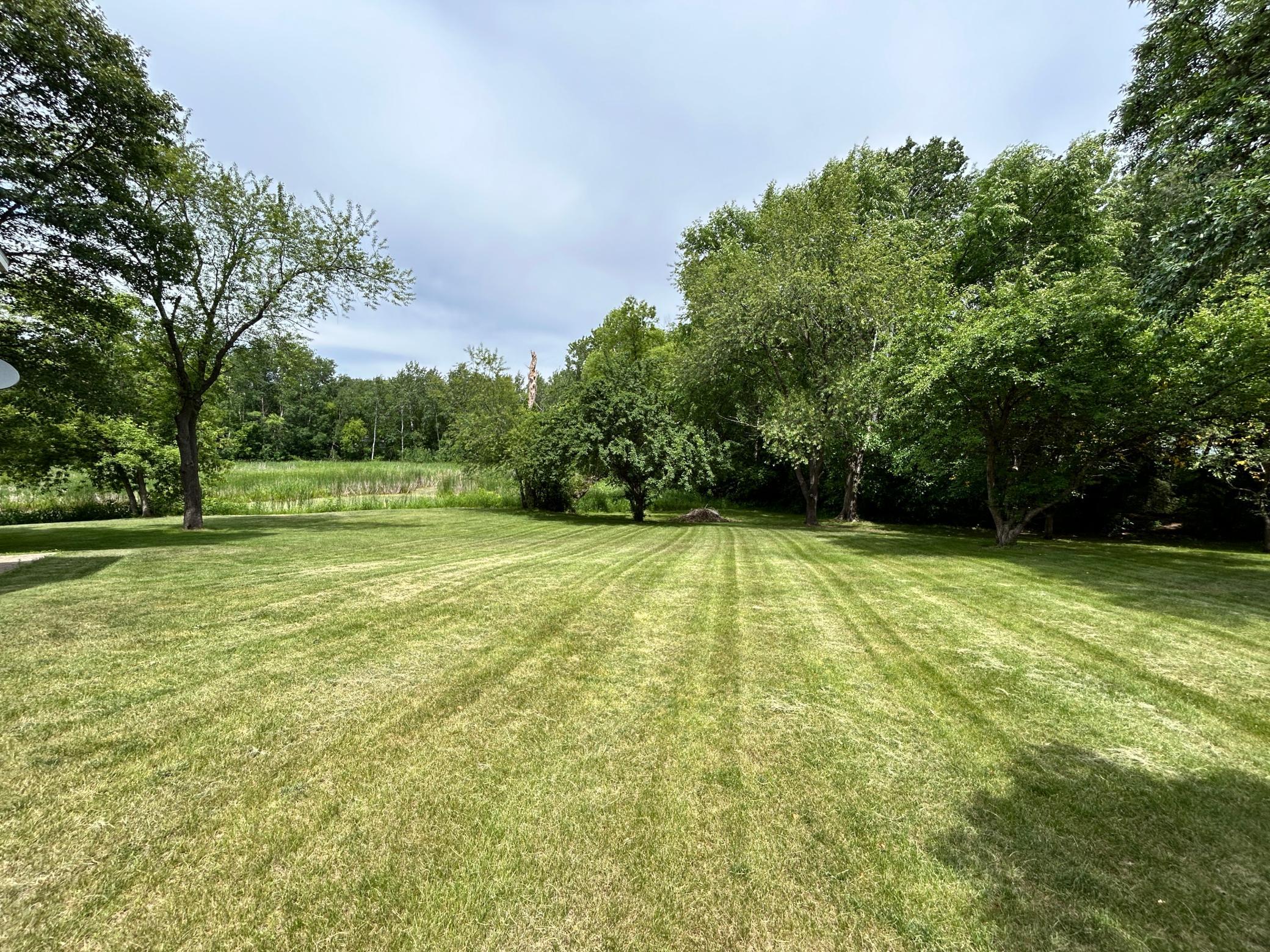 The back yard has plenty of room for entertaining.