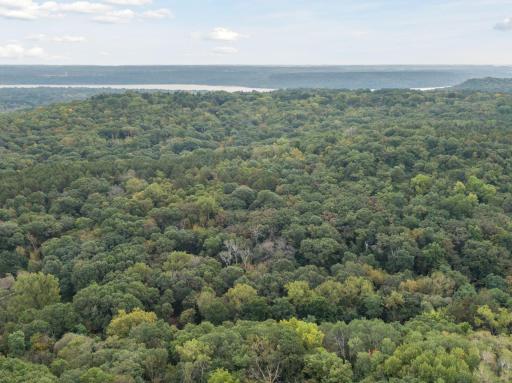 2555 Trading Post Trail S, Afton, MN 55001