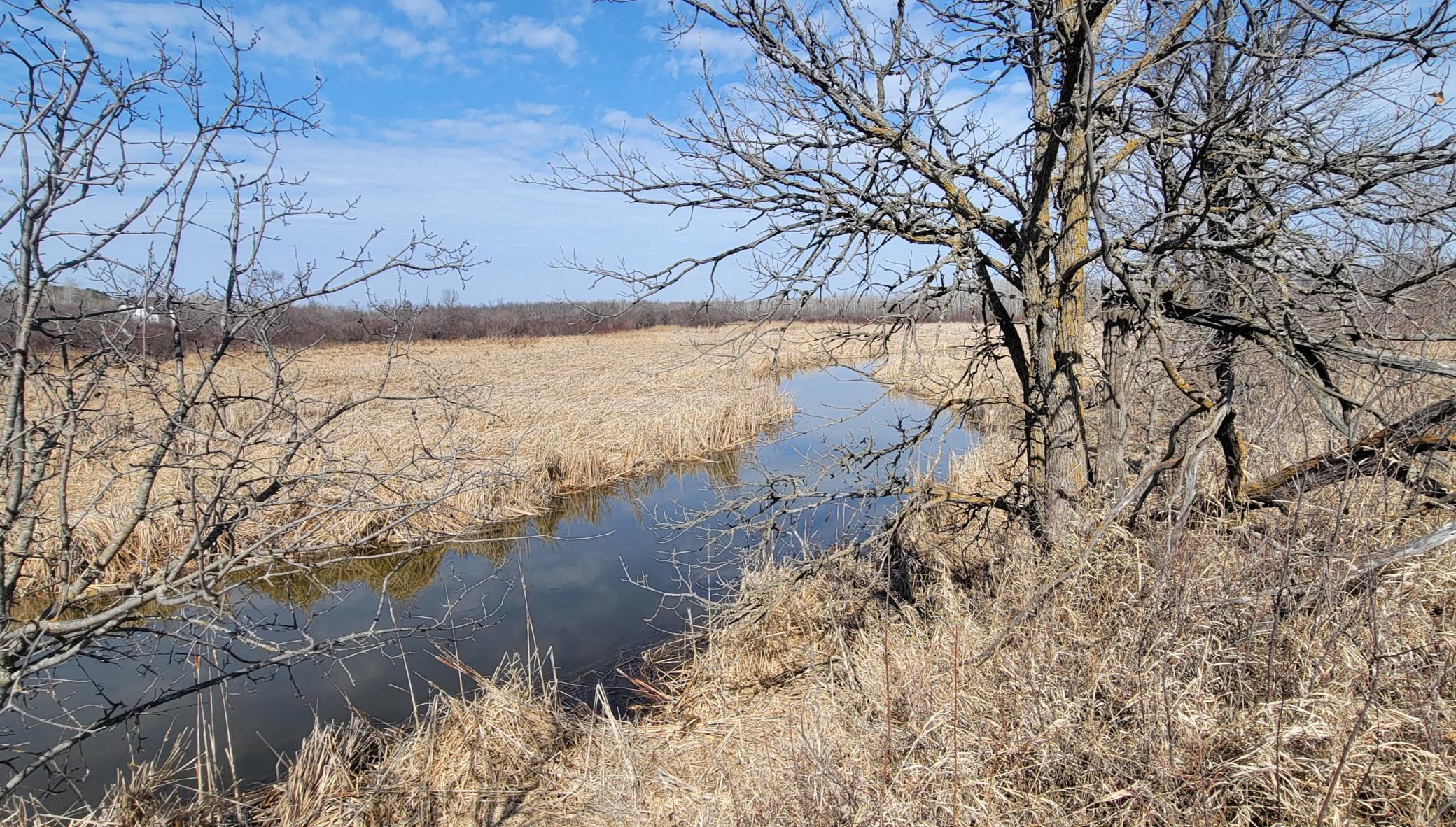 Looking down stream.