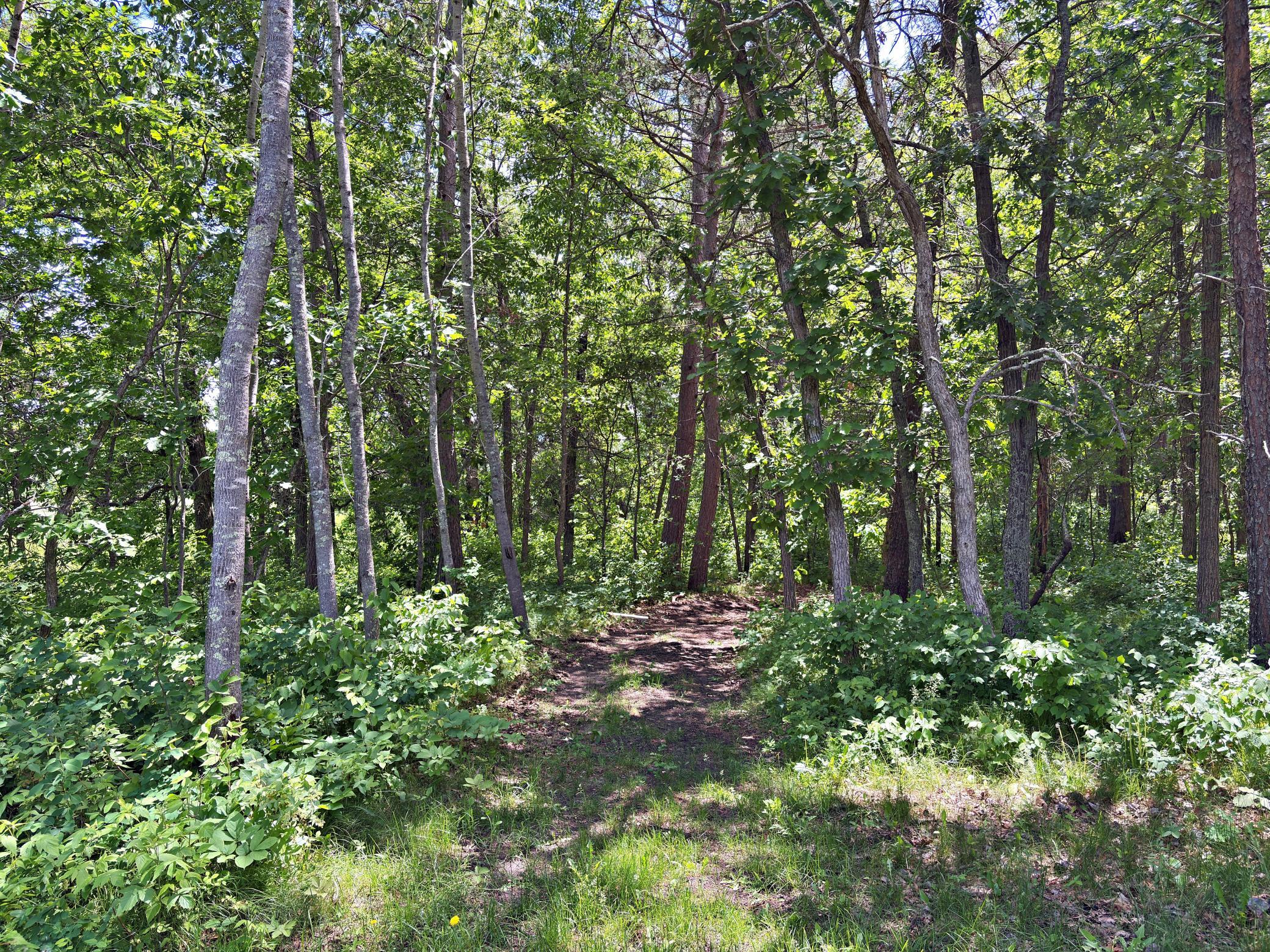 Photo 48