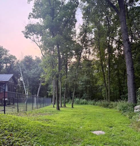 Mowed area of backyard outside the fence.