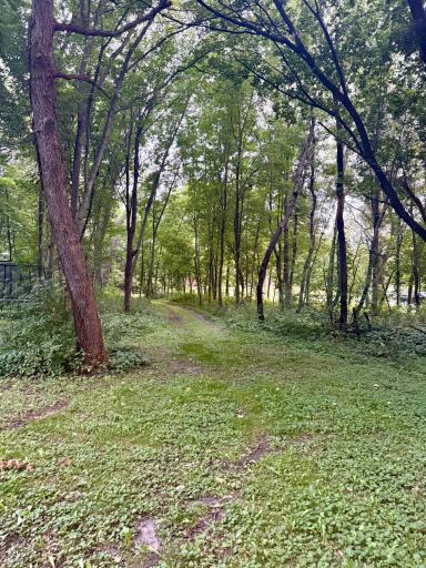 Vehicle access/trail to backyard.