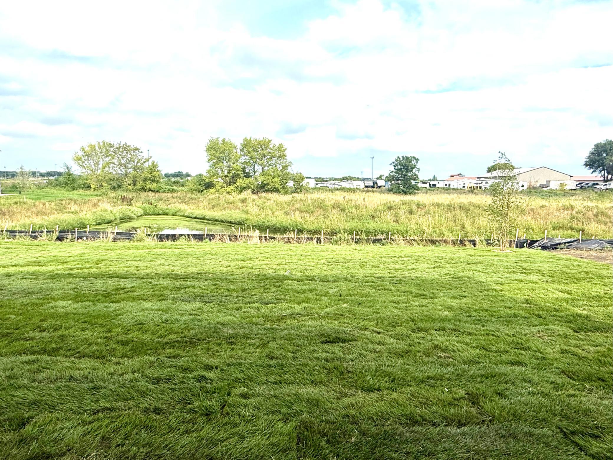 (Photo is of the actual backyard.)