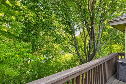10417 Fawns Way, Eden Prairie, MN 55347