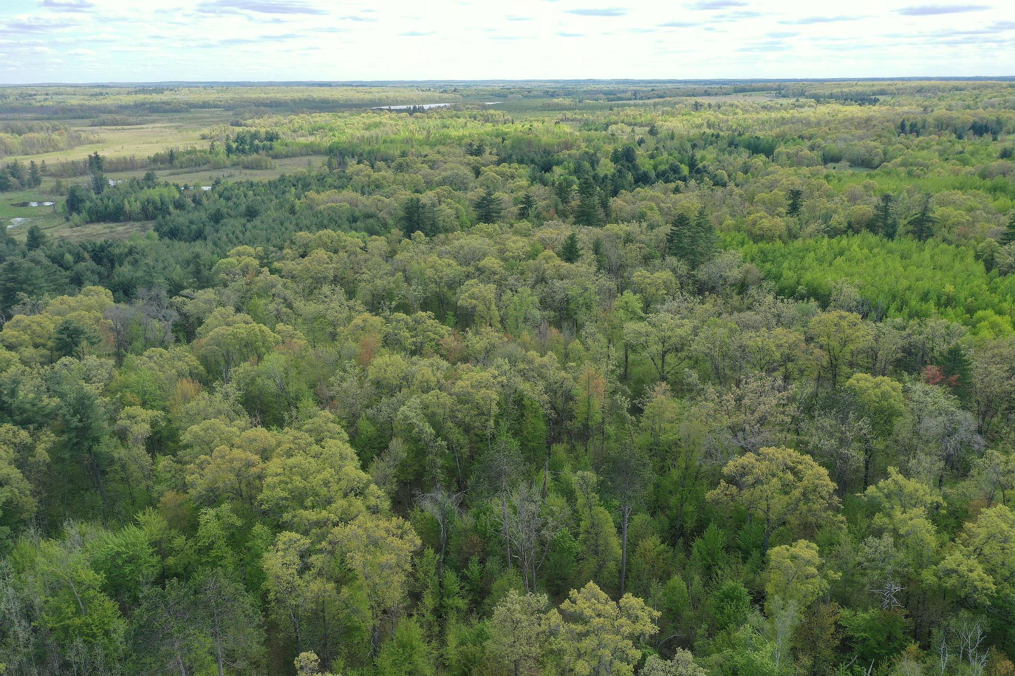 DJI_0529.JPG