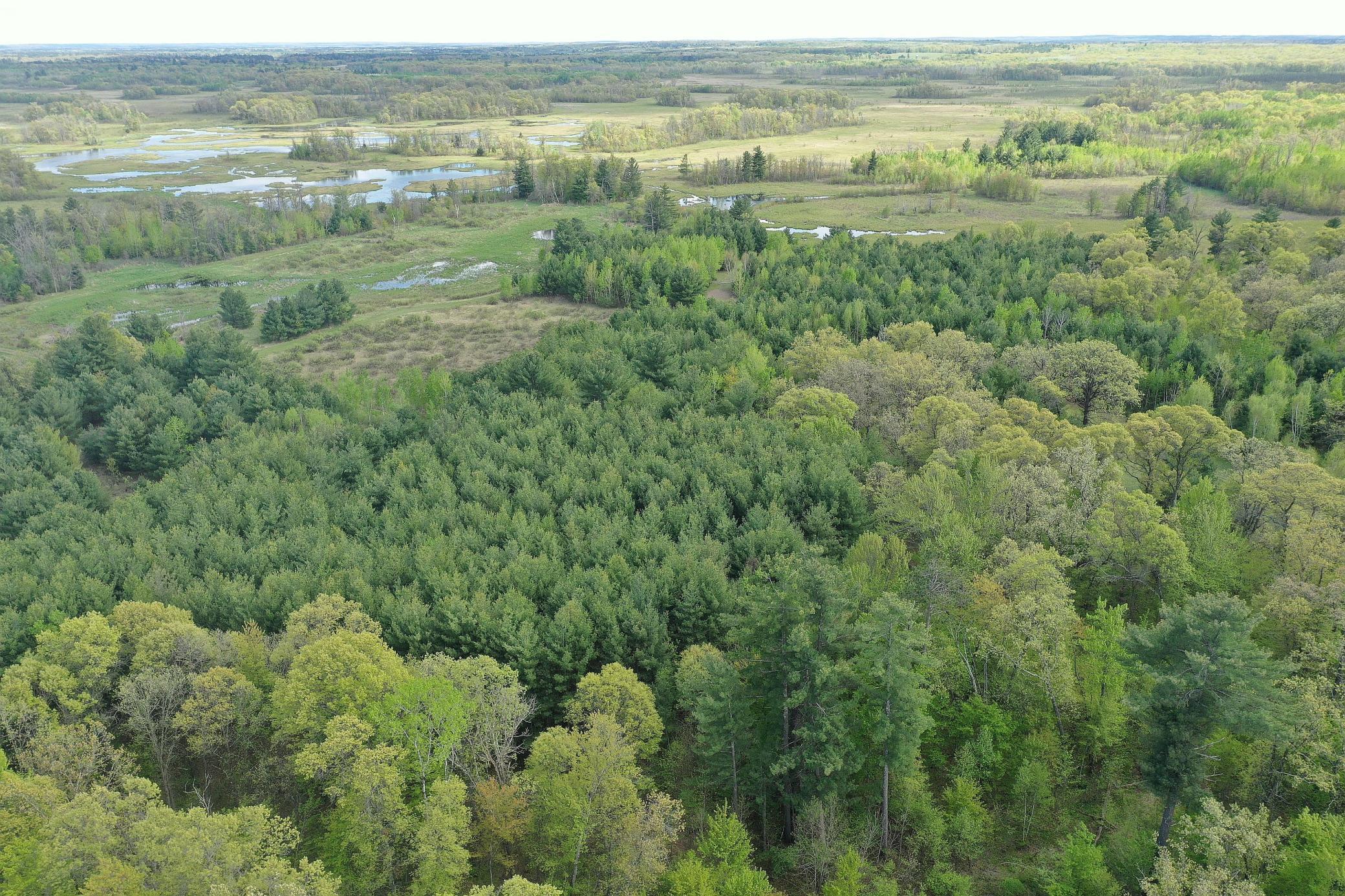 DJI_0532.JPG