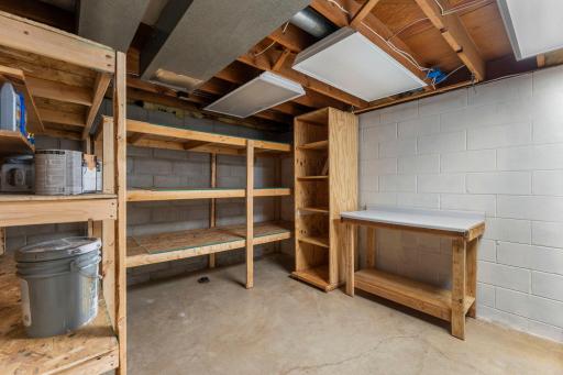 Lower level storage space with built in shelving