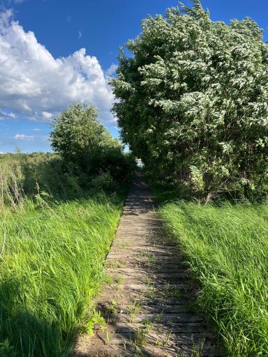 43xxx Inlet Estates Trail, Ottertail, MN 56571