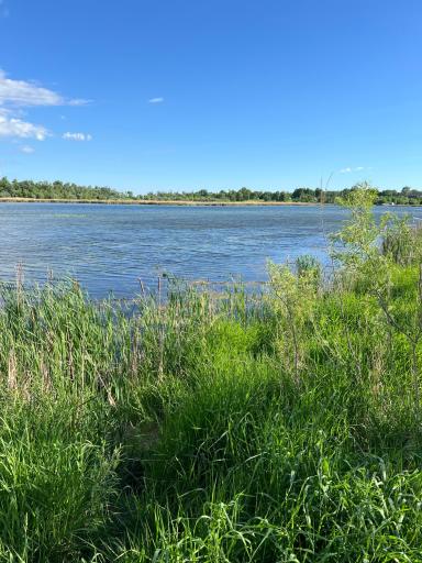 43xxx Inlet Estates Trail, Ottertail, MN 56571