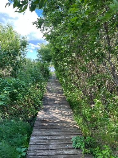 43xxx Inlet Estates Trail, Ottertail, MN 56571