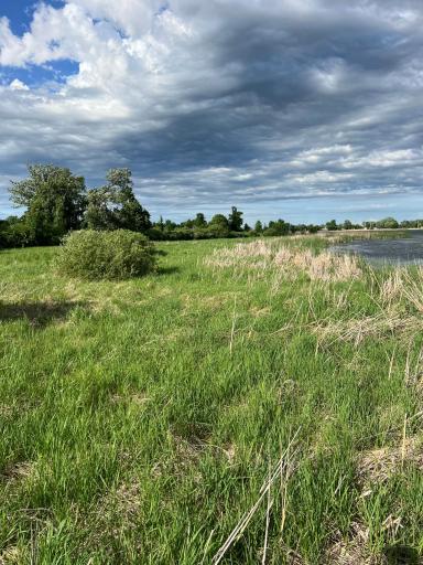 43xxx Inlet Estates Trail, Ottertail, MN 56571