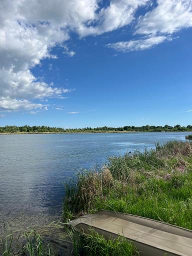43xxx Inlet Estates Trail, Ottertail, MN 56571