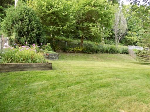 Fenced Backyard
