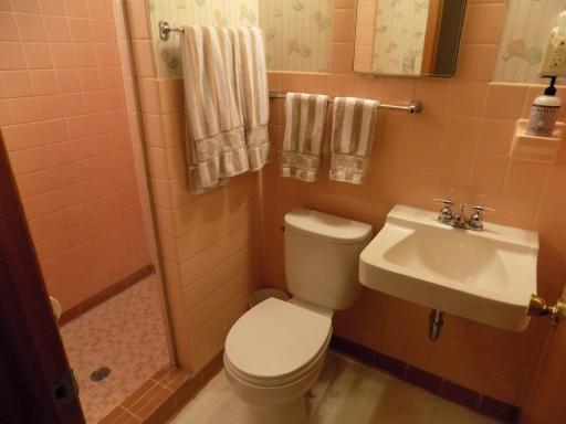 3/4 Bath in basement