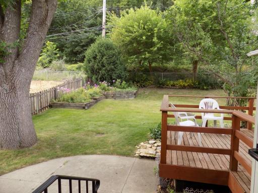 Fenced yard