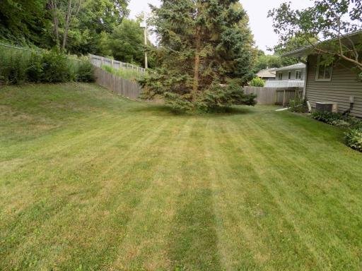 Fenced yard
