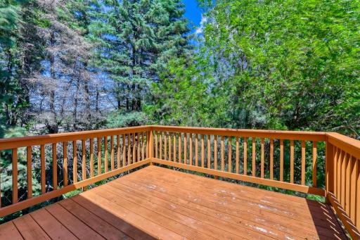 7010 Jorgensen Ln S - MLS Sized - 019 - 19 Balcony.jpg