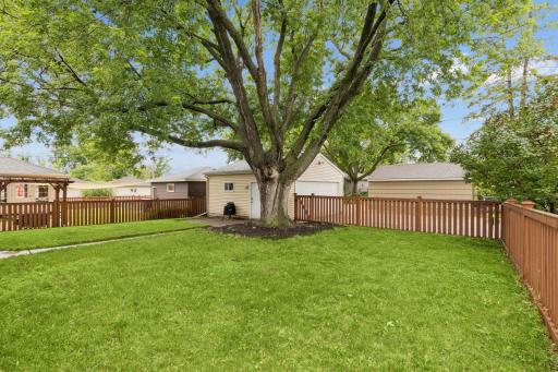 Big, Fenced backyard with new 2 car garage in 2016!