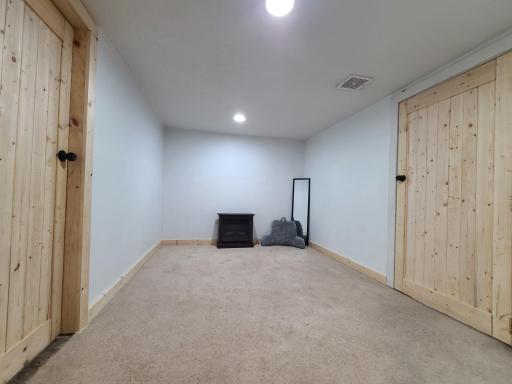 Lower Family room space