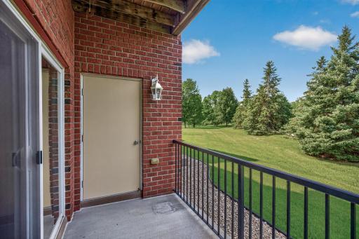 13665 Carrach Avenue, 168, Rosemount, MN 55068