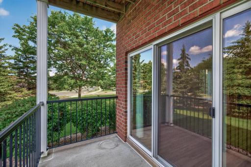 13665 Carrach Avenue, 168, Rosemount, MN 55068