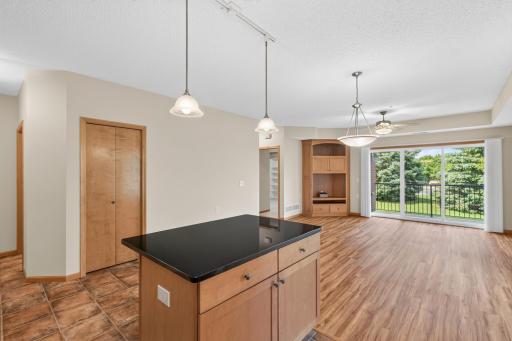 13665 Carrach Avenue, 168, Rosemount, MN 55068