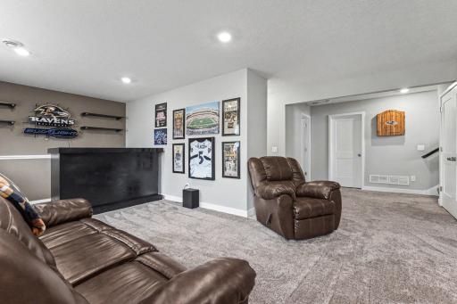 1321 Chestnut Circle, Carver, MN 55315