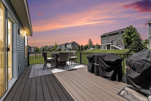 1321 Chestnut Circle, Carver, MN 55315