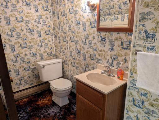 Lower Level Bathroom
