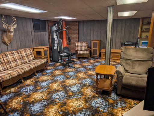 Lower Level Family Room.