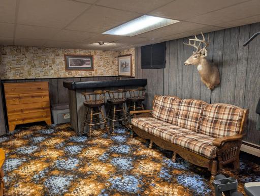 Family Room Wet Bar